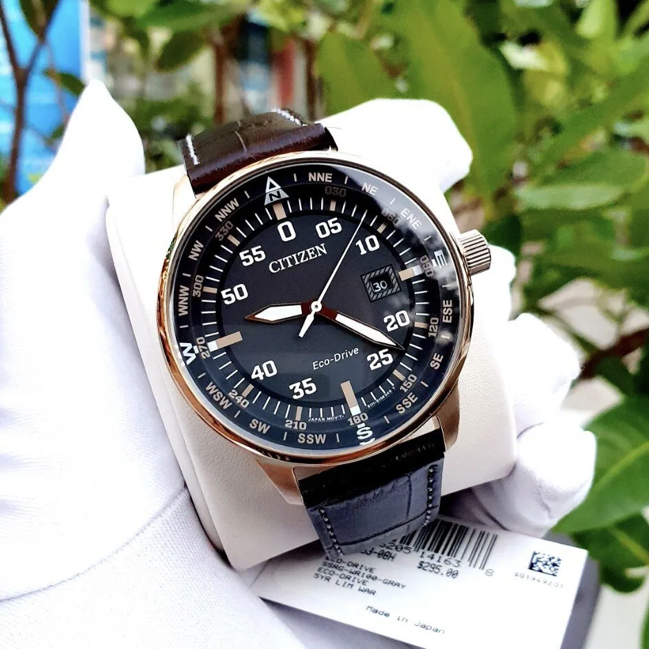 CITIZEN BM7393-08H