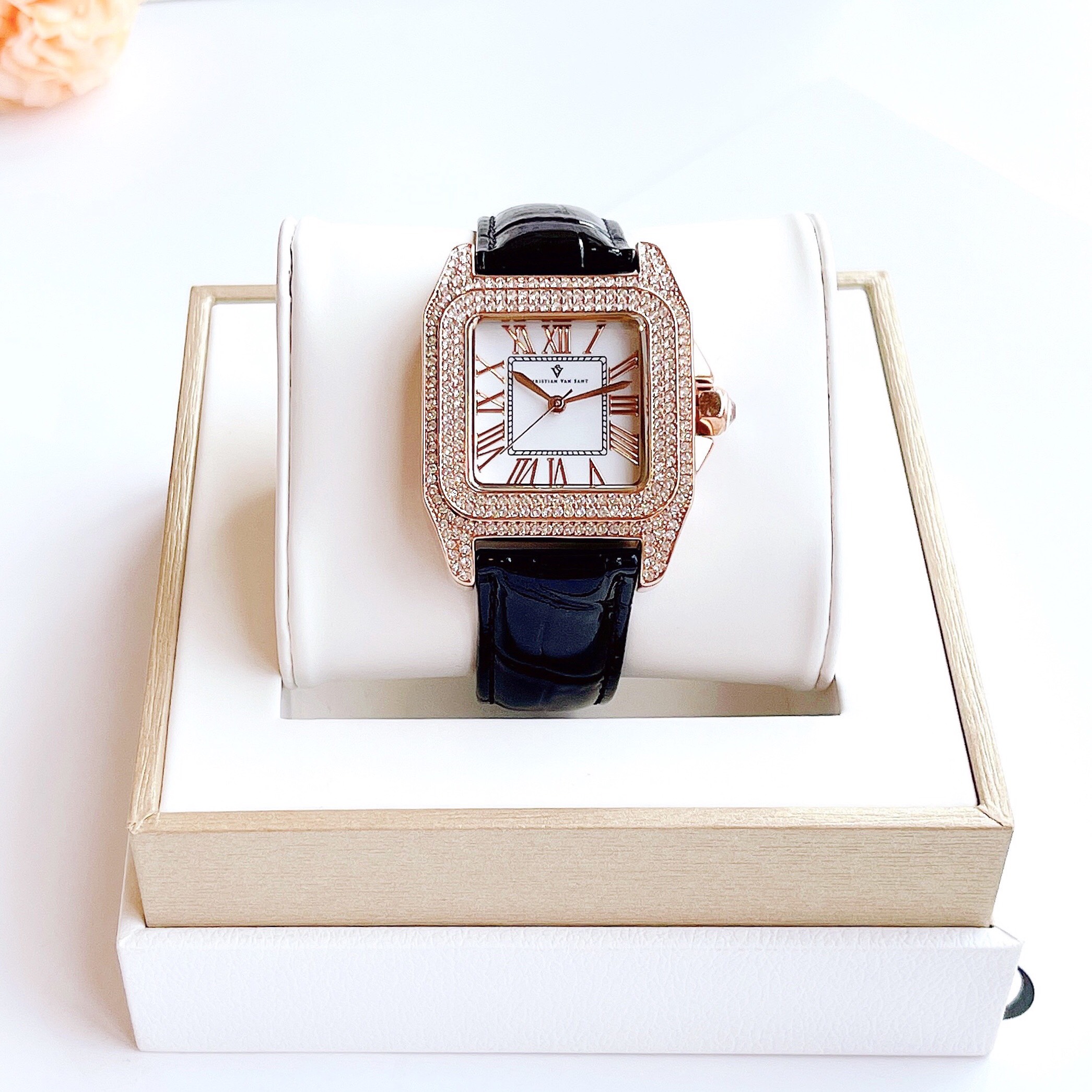 CHRISTIAN VAN SANT CV4426